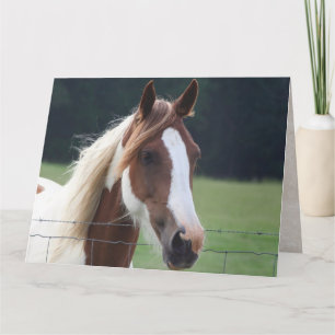 Cartão Parabéns Paint Horse Equestrian Riding Card
