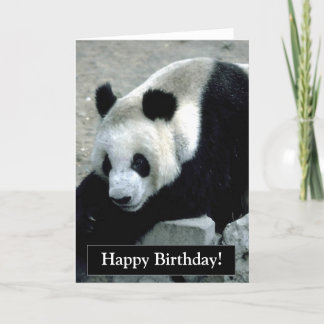Cartão Parabéns Panda Bear Card