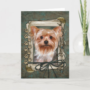 Cartão Parabéns - Pedras Pedras - Yorkshire Terrier