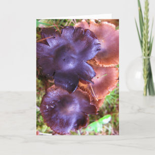 Cartão Parabéns pela Copa do Fungo Roxo