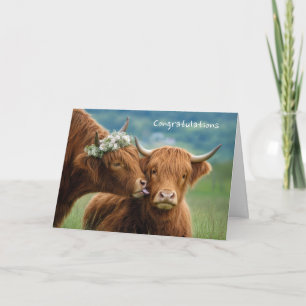Cartão Parabéns pelo Casamento Vaca das Terras Altas Beij