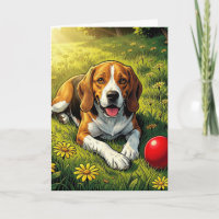 Parabéns pelo seu novo Beagle | Parabéns ao Cachor