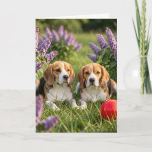 Cartão Parabéns pelos seus novos Beagles Felicitações