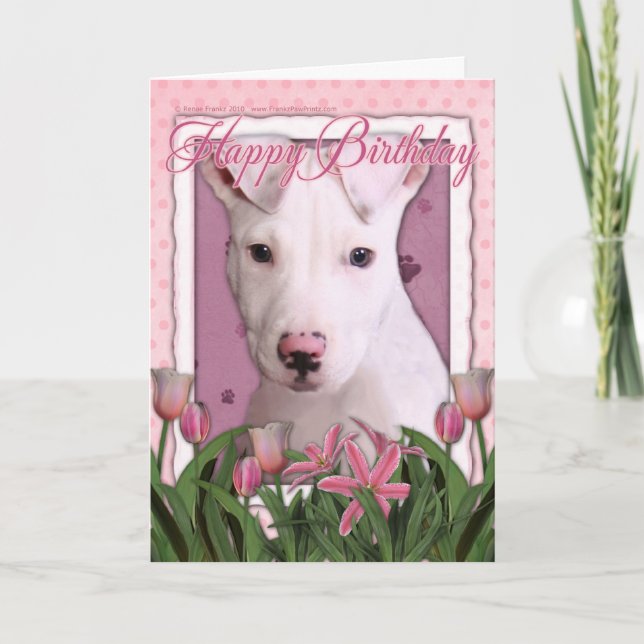 Cartão Parabéns - Pitbull - Petey (Frente)