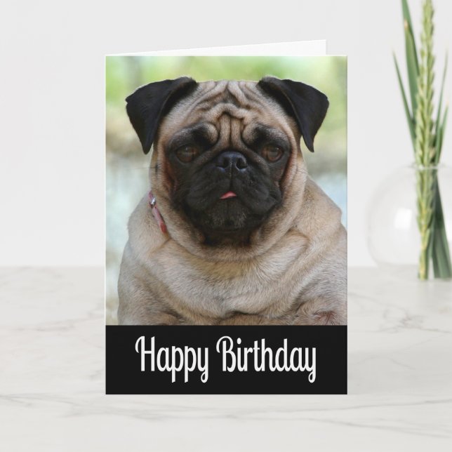 Cartão Parabéns Pug Puppy Dog Black Greeting Card (Frente)
