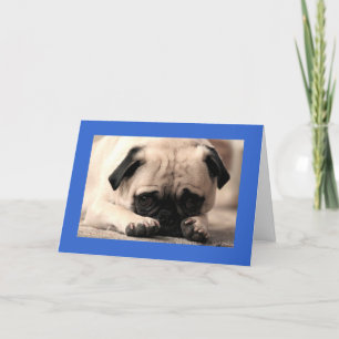 Cartão Parabéns Pug Puppy Dog Blue Greeting Card