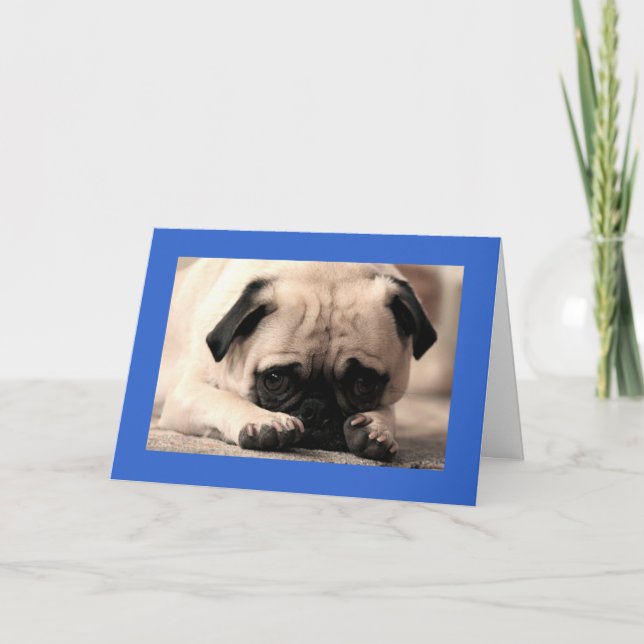 Cartão Parabéns Pug Puppy Dog Blue Greeting Card (Frente)