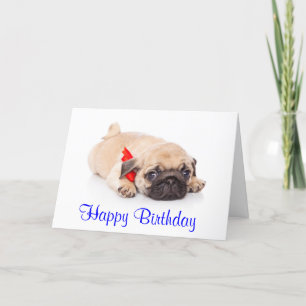 Cartão Parabéns Pug Puppy Dog Card