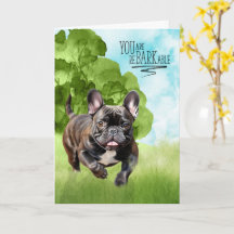 Parabéns reBARKable Brindle Bulldog Francês