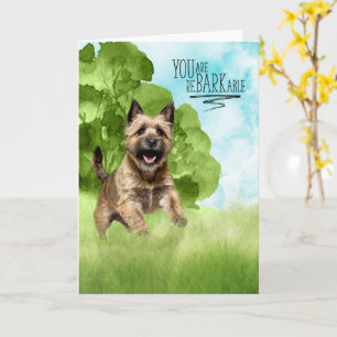 Cartão Parabéns reBARKable Cairn Terrier Cachorro