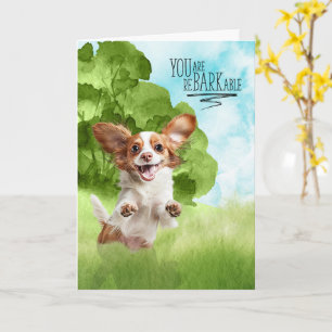 Cartão Parabéns reBARKable Cavalier King Charles
