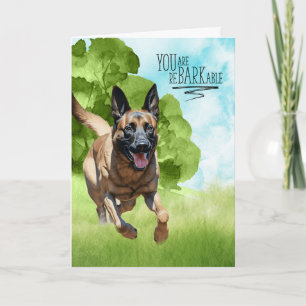 Cartão Parabéns reBARKable Malinois Dog Belga