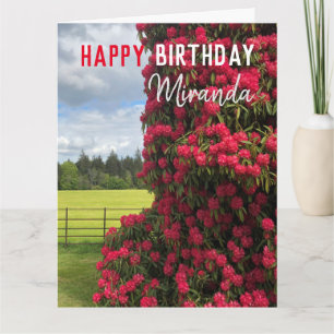 Cartão Parabéns - Rhododendron Scenview Floral