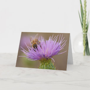 Cartão Parabéns são personalizados com fotos de thistle