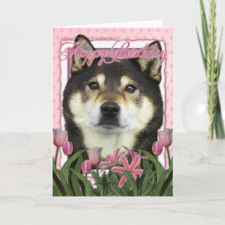 Cartão Parabéns - Shiba Inus - Yasha