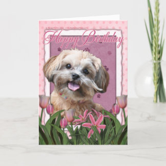 Cartão Parabéns - ShihPoo - Maggie