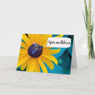 Cartão Parabéns sobre a Bebida Ortográfica vencedora