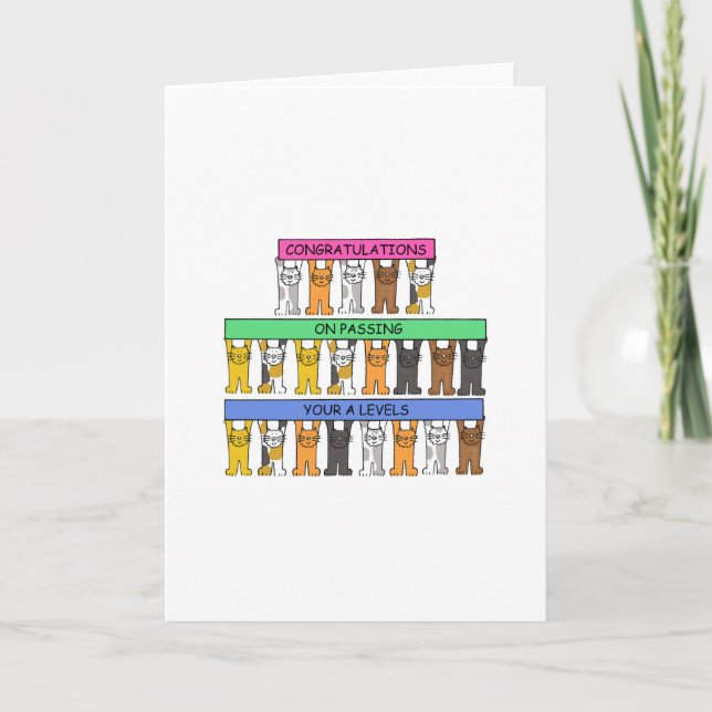 Cartão Parabéns sobre como ultrapassar seus níveis A (Frente)