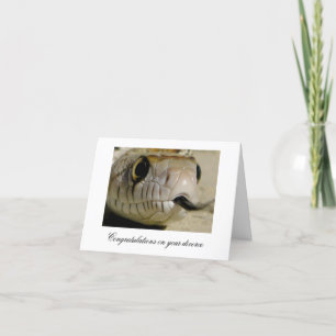 Cartão Parabéns sobre o divórcio...