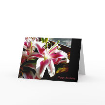Parabéns ~ Stargazer Lily