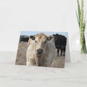 Cartão Parabéns Veterinários Cute Ranking Fazenda DVM