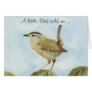 Cartão Parabéns Wren