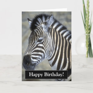 Cartão Parabéns, Zebra.