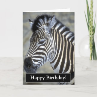 Cartão Parabéns, Zebra.