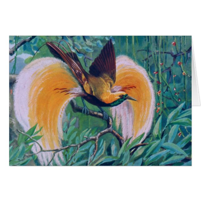 Cartão Paradise Bird (Frente Horizontal)