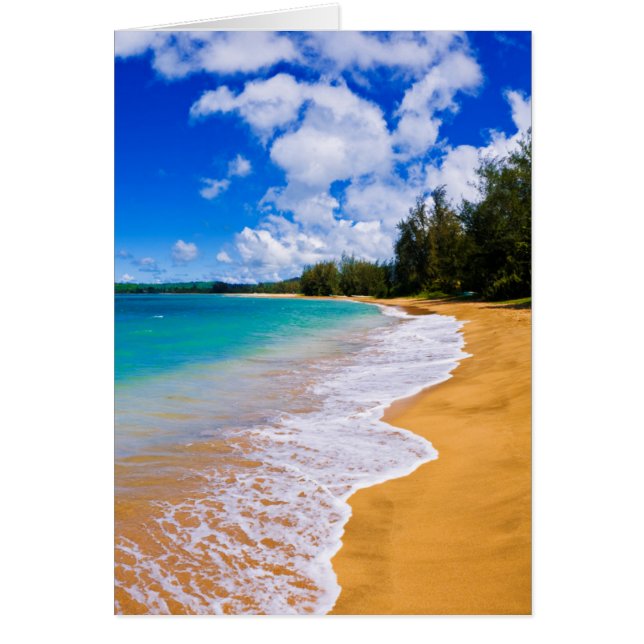 Cartão Paraíso da praia tropical, Havaí (Frente)