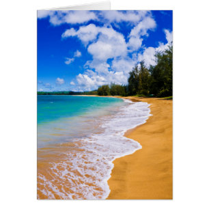 Cartão Paraíso de praia tropical, Havaí