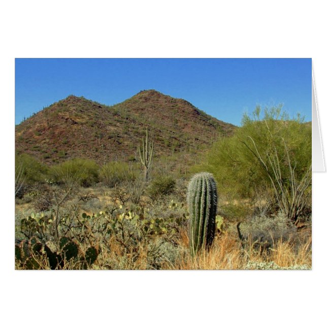 Cartão Paraíso do Deserto (Frente horizontal)