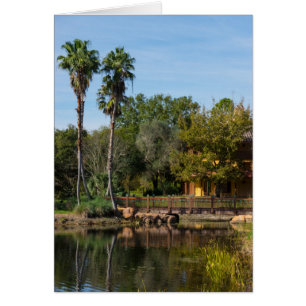 Cartão Paraíso dos Primaveras Tropicais