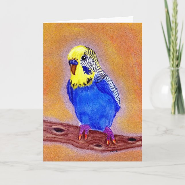 Cartão Parakeet Bird Blank Greeting Card (Frente)