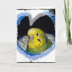 Cartão Parakeet Bird Heart Greeting Card
