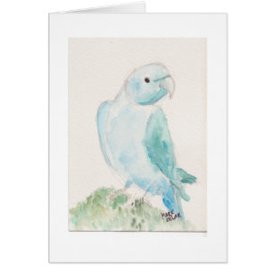 Cartão Parakeet indiano do ringneck