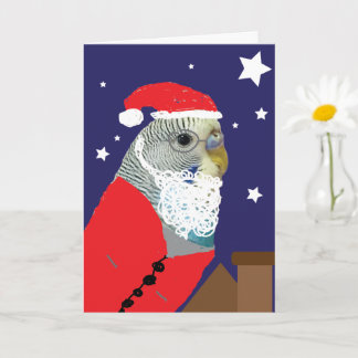 Cartão Parakeet Santa Clause Christmas Card