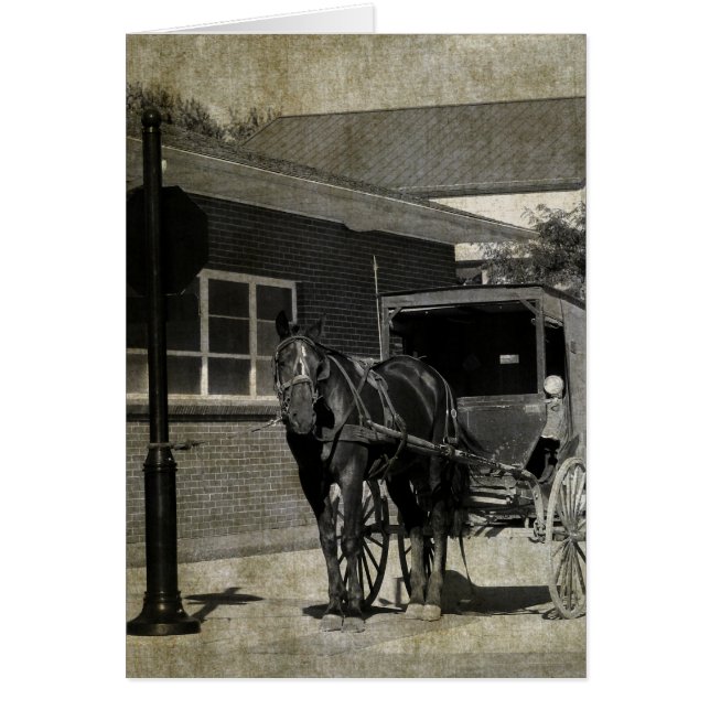 Cartão Parar para um Ortografia, Cavalo Amish no Sinal de (Frente)