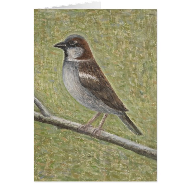 Cartão Pardal de casa 2008 (Frente)