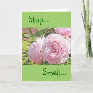 CARTÃO "PARE... CHEIRA... E LEMBRE-SE... SWEET..."