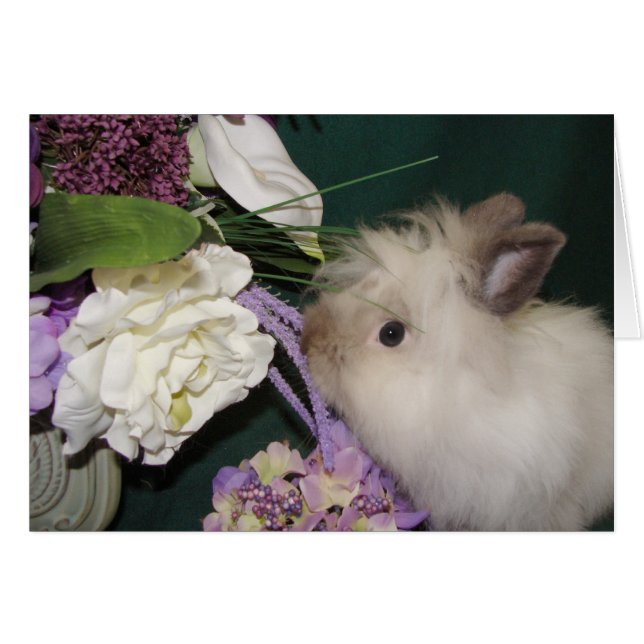 Cartão Pare e cheire as flores 3 (Frente horizontal)