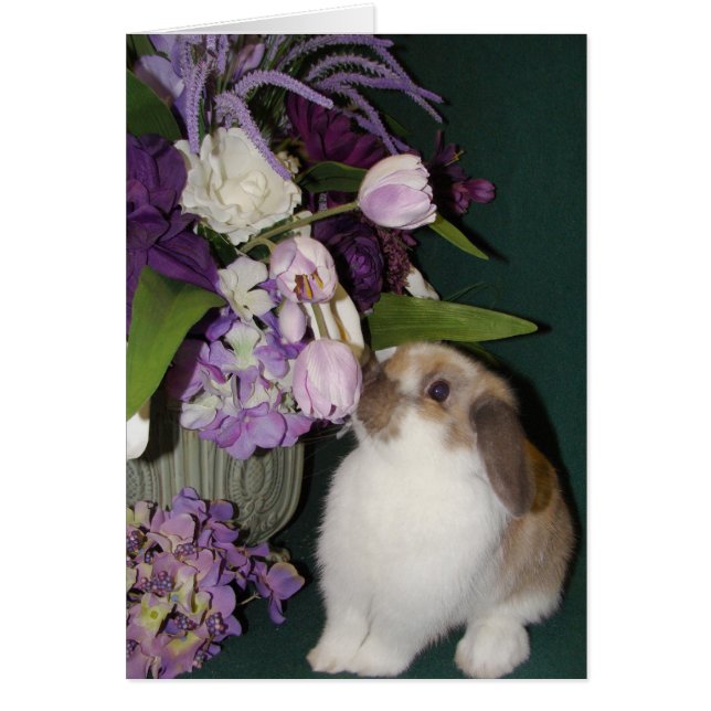 Cartão Pare e cheire as flores 4 (Frente)