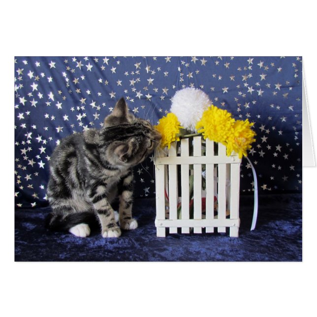 Cartão Pare e cheire as flores (Lilo) (Frente Horizontal)