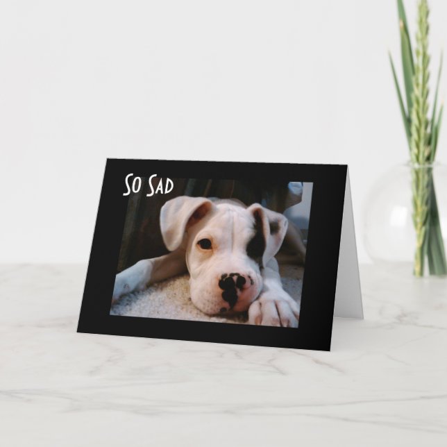 CARTÃO PARECE BOM SER "40" (Frente)