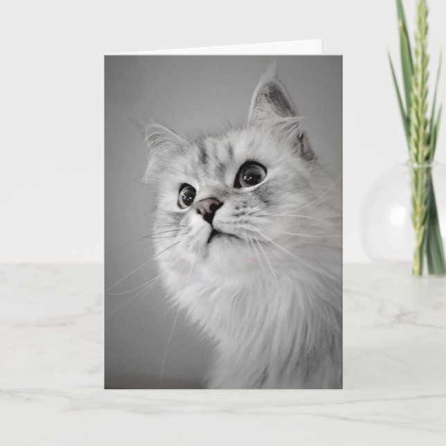 Cartão Parece que é seu aniversário! (Cartão) (Frente)