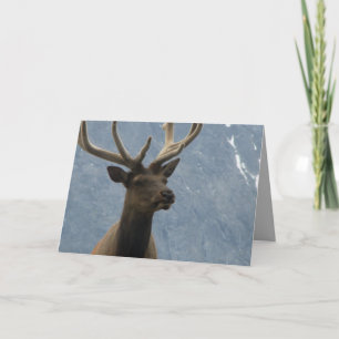 Cartão Parece que você tem um aniversário chegando.