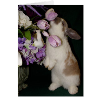 Cartão Parem e cheirarem as flores