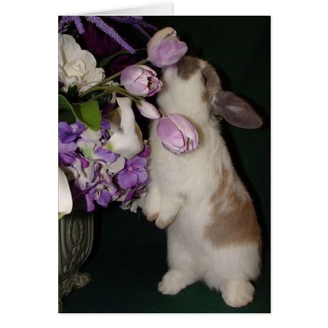 Cartão Parem e cheirarem as flores (Frente)