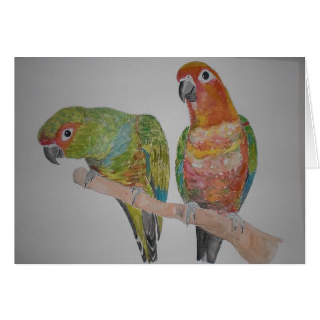 Cartão pares de Conure do オウムパロット que penduram para fora (Frente Horizontal)
