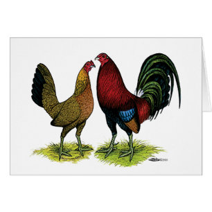 Cartão Pares de Gamefowl